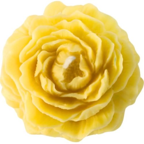 Peony Candle