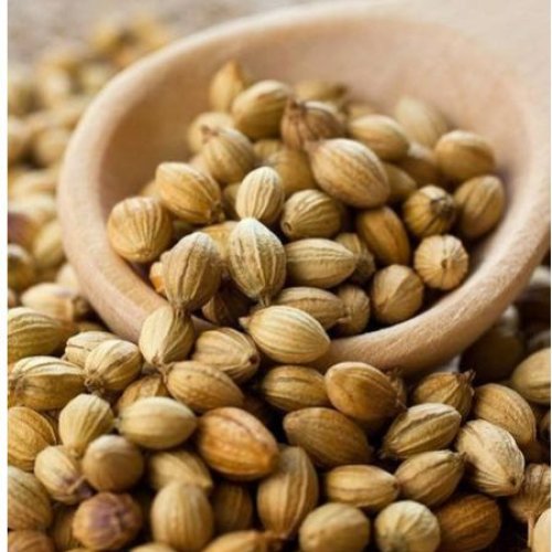 Coriander Seeds