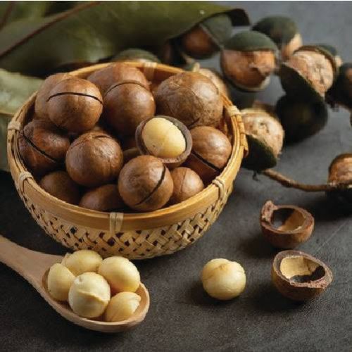 Dried Hazelnut