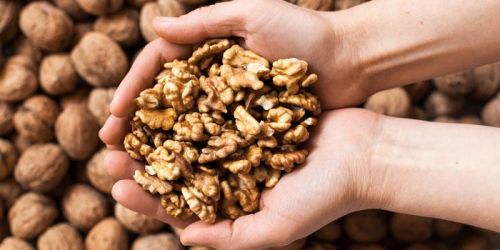 Walnut Kernels