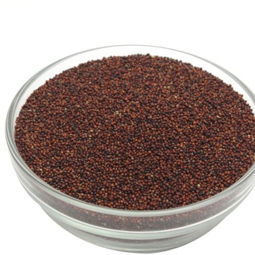 Ragi Seeds