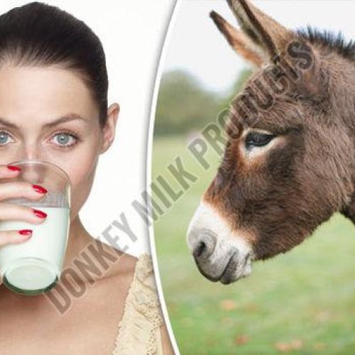 Pure Donkey Milk
