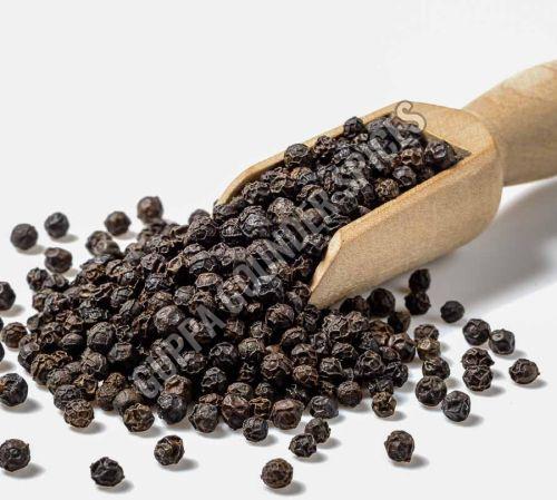 Organic Black Pepper Seeds