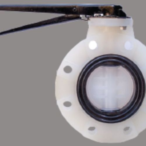 Butterfly Valve