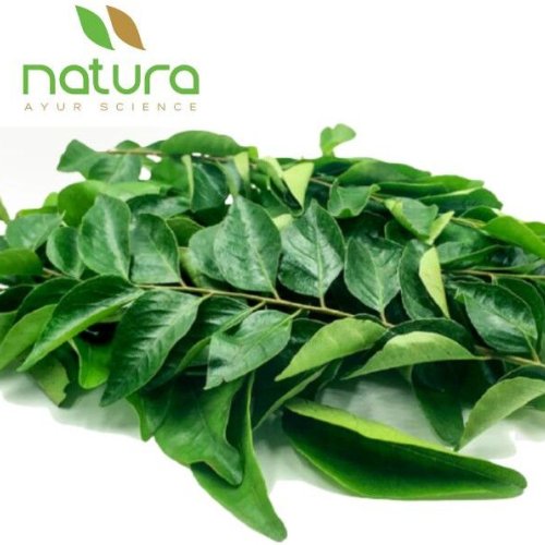 Natura Ayur  Dried Curry Leaves
