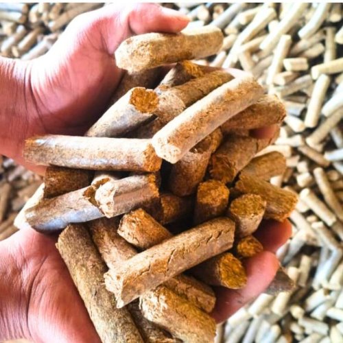 Biomass Pellet