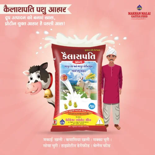 Kailashpati Maize Oil Cake