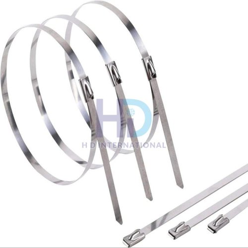Stainless Steel Cable Ties