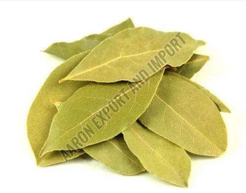 Bay Leaf