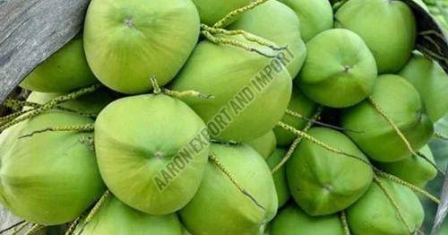 Green Tender Coconut