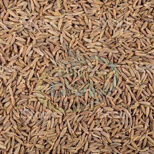 Brown Cumin Seeds