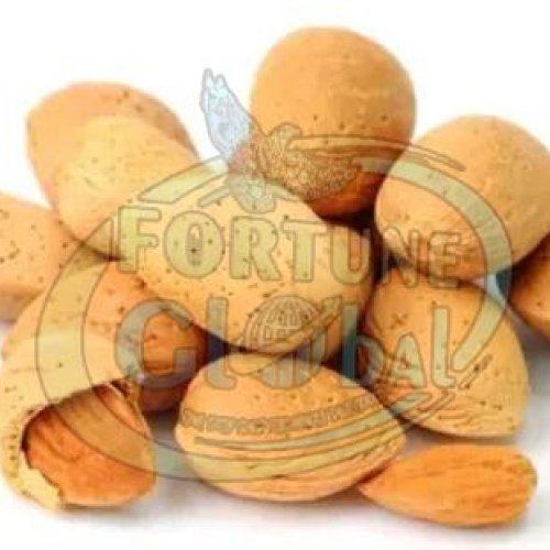 Inshell California Almond Nuts