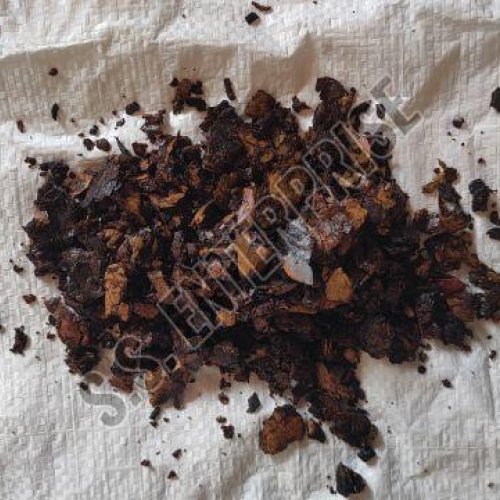 Cashew Nut Shell Cake