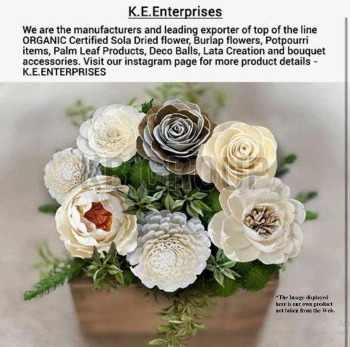 Sola Bouquet Fillers