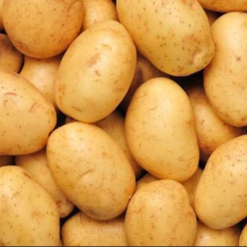 Fresh Brown Potato