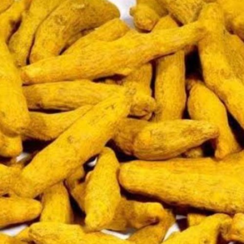 Raw Turmeric Finger