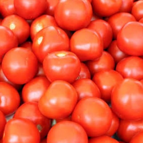 Fresh Red Tomato