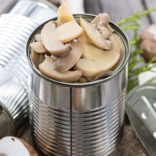 Canned Mushroom Slice