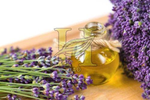 Lavender Oil