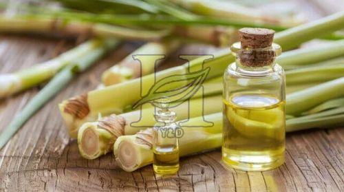 Lemongrass Oil