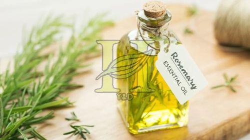 Rosemary Oil