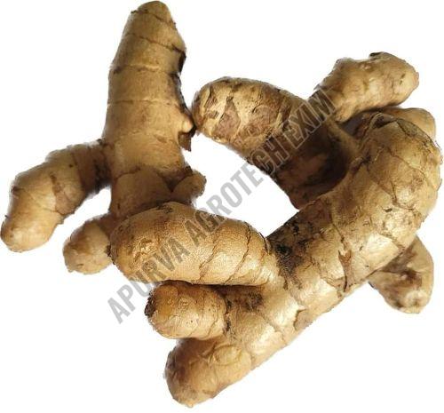 Fresh Ginger