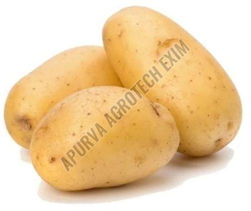 Fresh Potato