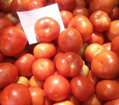 Fresh Tomato