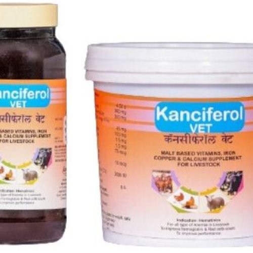 Kanciferol Powder