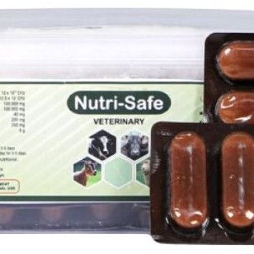 Nutri Safe Veterinary Tablets