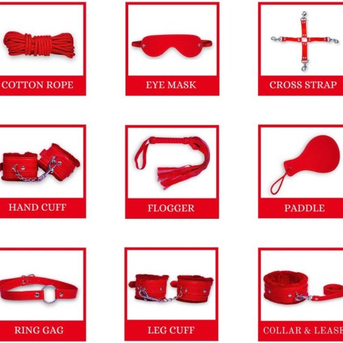 9pcs Luxury Red Bdsm Kit