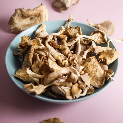 Dried Pink Oyster Mushroom