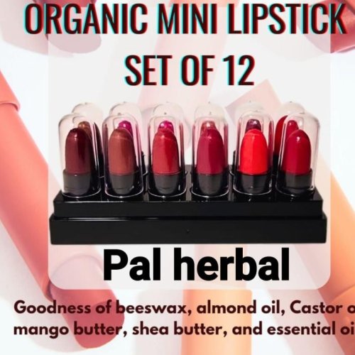12 Shades Available Natural Organic Mini Lipstick