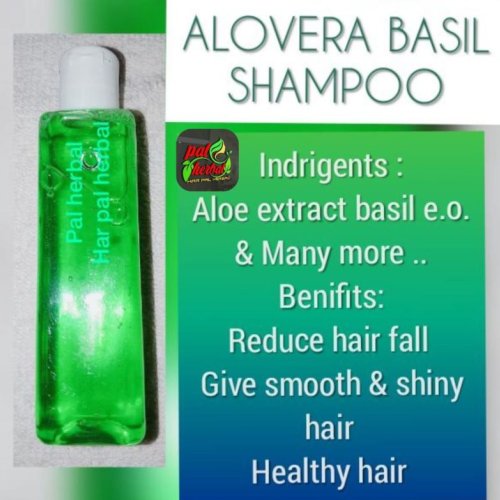 Herbal Aloe And Basil Shampoo