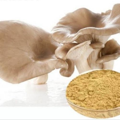 Oyster Mushroom Extract