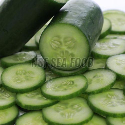 Fresh Slicing Cucumber