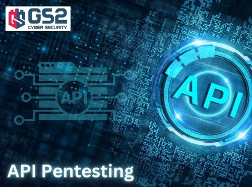 API VAPT Services