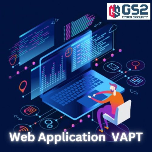 Web Application VAPT Service