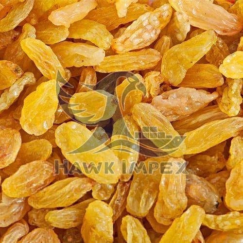 Dried Long Golden Raisin