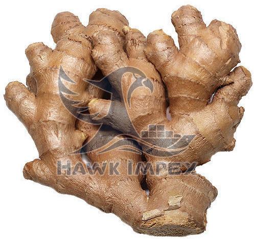 Fresh Ginger