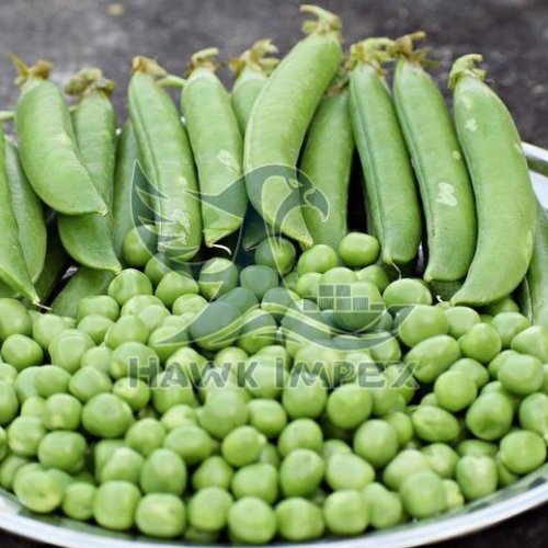 Fresh Green Peas