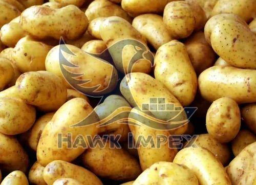 Fresh Potato