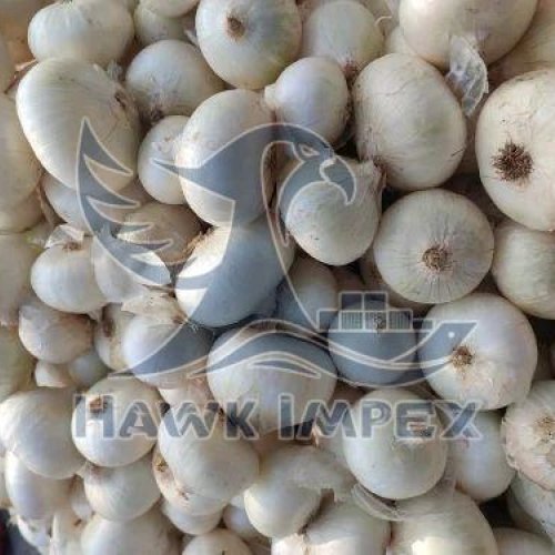 Fresh White Onion