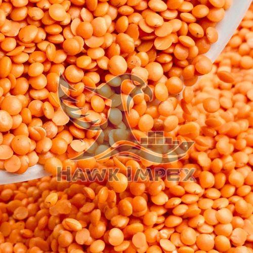 Masoor Dal