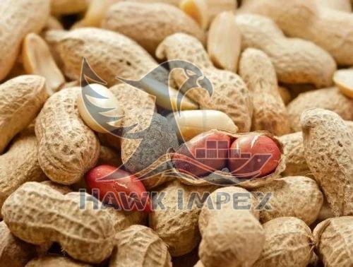 Shelled Peanuts