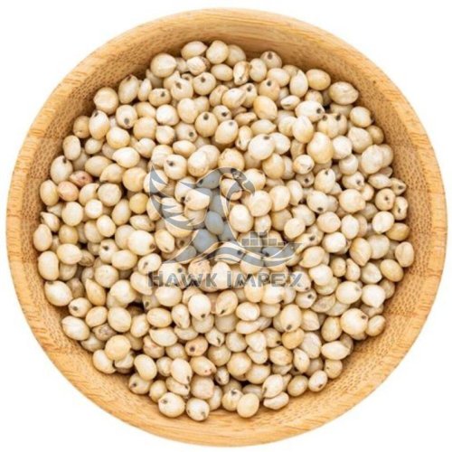 Sorghum Millet