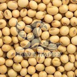 Soya Beans