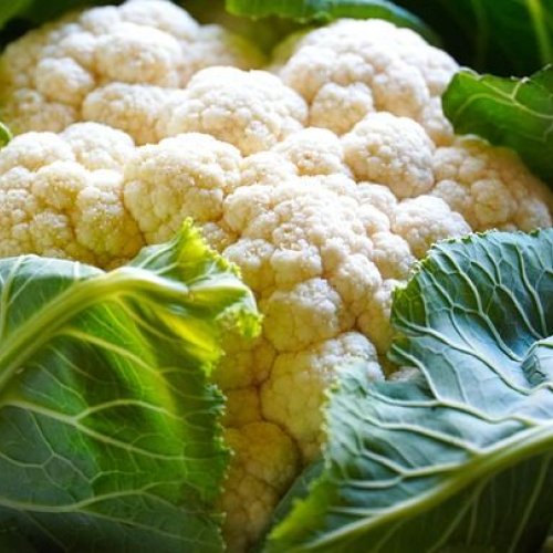 Fresh Cauliflower