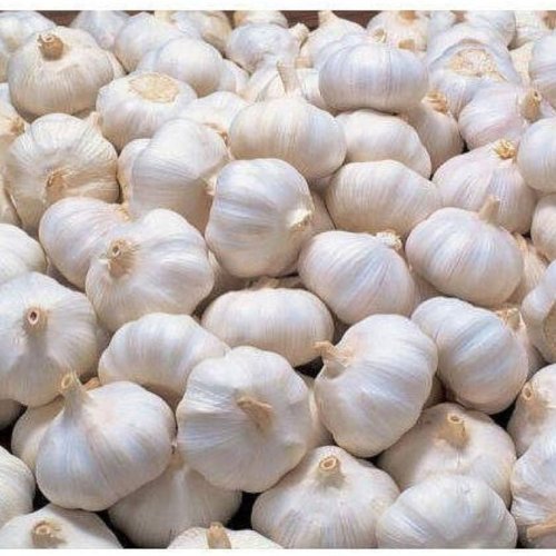 Fresh Garlic