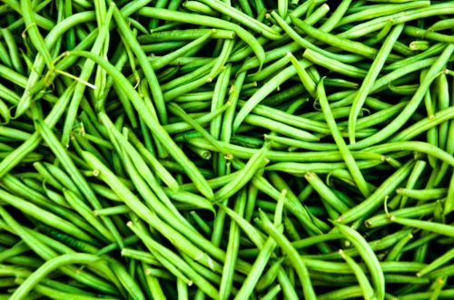 Fresh Green Beans